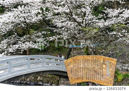 看板・案内板「豊かな田園風景の中にある神社と桜風景」(瀬田神社)大津町瀬田 126831074