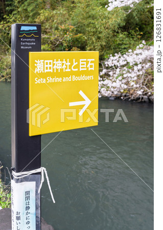 看板・案内板「豊かな田園風景の中にある神社と桜風景」(瀬田神社)大津町瀬田 126831691