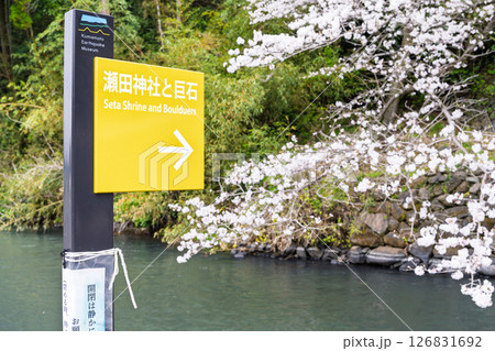 看板・案内板「豊かな田園風景の中にある神社と桜風景」(瀬田神社)大津町瀬田 126831692