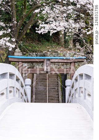 うららかな春日和に映える石橋と桜風景「豊かな田園風景の中にある神社と桜風景」(瀬田神社)大津町瀬田 126831786