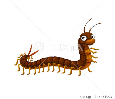 Cartoon funny centipede insect character. Cute insect or animal with long multi-legged body isolated vector personage. Venomous centipede or scolopendra arthropod funny character or cartoon mascot 126831905