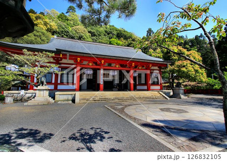 宇宙エネルギーが降注ぎ京の都の鬼門を護る… 鞍馬寺 126832105