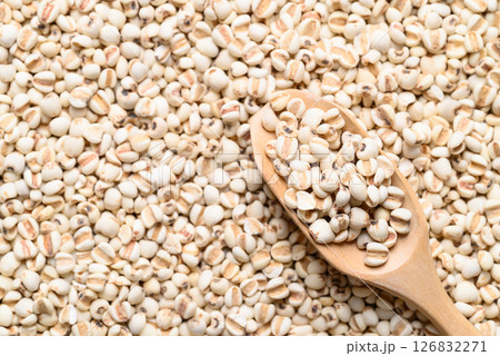 Dried Job's tears or adlay millet seeds background with wooden scoop, Food ingredient 126832271