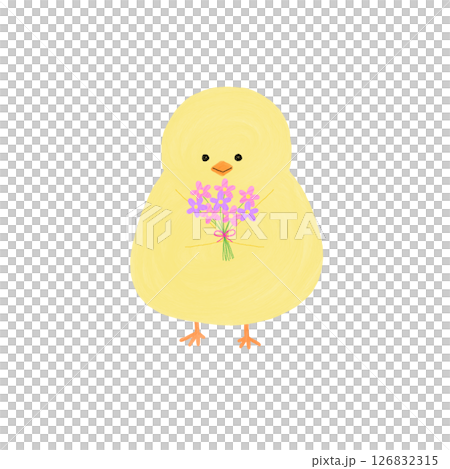 拿著花束的小雞 拿著花束的小雞 126832315