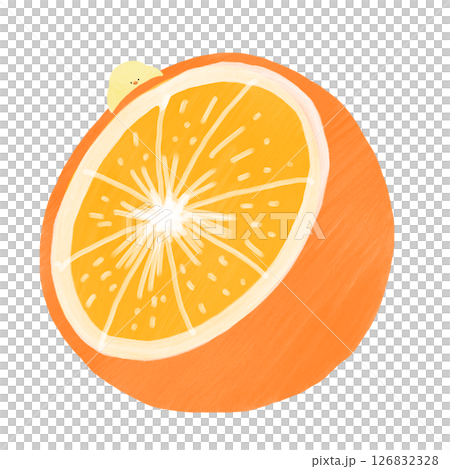 橘子和小雞 126832328