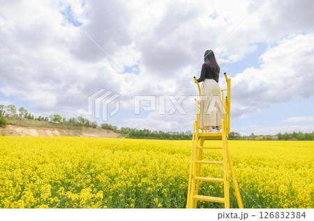 満開の菜の花畑を観光する女性 満開の菜の花畑を観光する女性 126832384