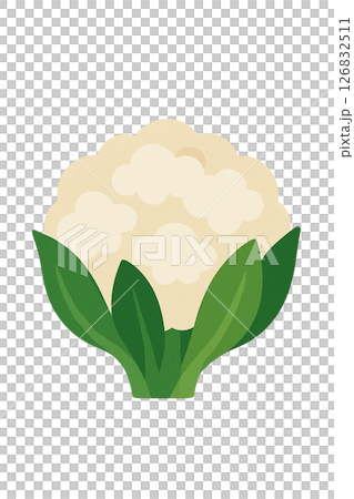 花椰菜平面插圖 花椰菜平面插圖 126832511