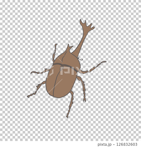 雄性甲蟲 126832603