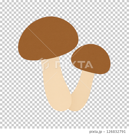 姬菇平面插圖 126832791