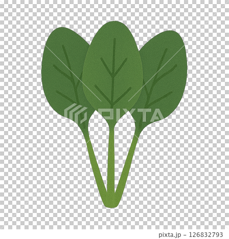 菠菜平面插圖 菠菜平面插圖 126832793