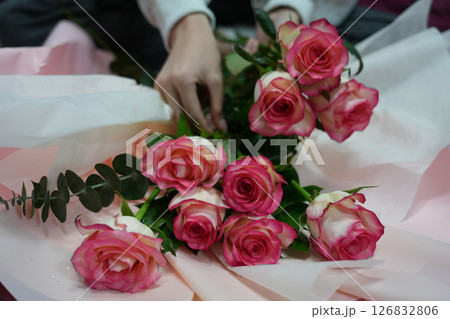 girl makes a bouquet of pink roses 126832806
