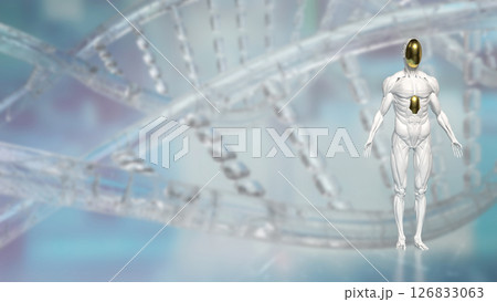 The Humanoid for Technology and sci concept 3d Rendering. The Humanoid for Technology and sci concept 3d Rendering. 126833063