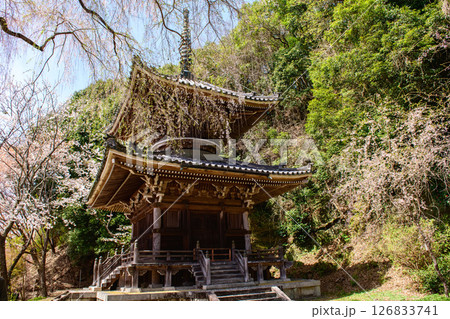 春の吉野 如意輪寺多宝塔と枝垂れ桜 奈良県 春の吉野 如意輪寺多宝塔と枝垂れ桜 奈良県 126833741