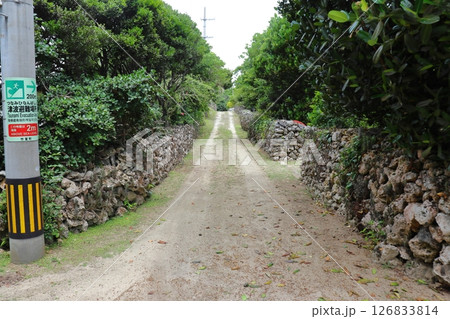 パナリ島（新城島）の路地 126833814