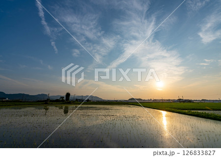 帰り道の風景 126833827