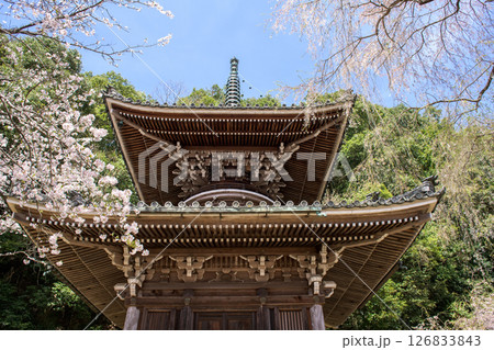 春の吉野 如意輪寺多宝塔と桜 奈良県 春の吉野 如意輪寺多宝塔と桜 奈良県 126833843