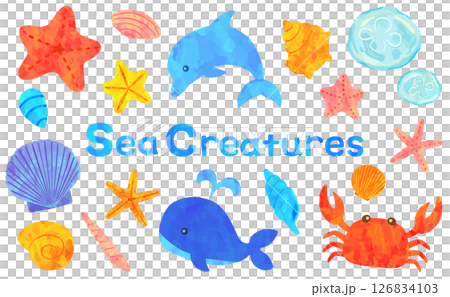 海洋生物插圖集向量素材 126834103