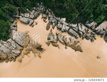 Aerial view of rocky coastline 126834671
