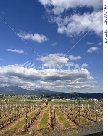 北海道の景色 北海道の景色 126835467