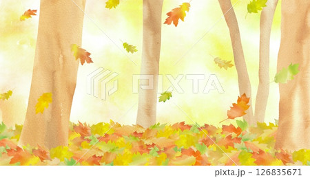 秋の森にカラフルな落ち葉が舞う風景。水彩画を使用した絵本のような優しい世界観。 126835671