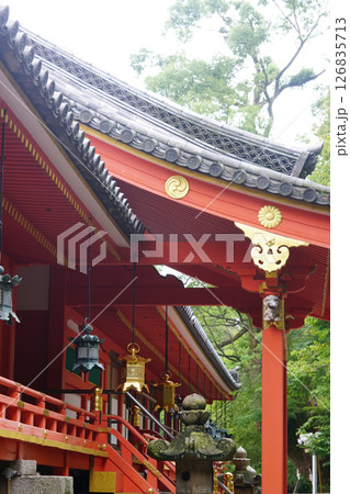 石清水八幡宮の赤い社殿 石清水八幡宮の赤い社殿 126835713