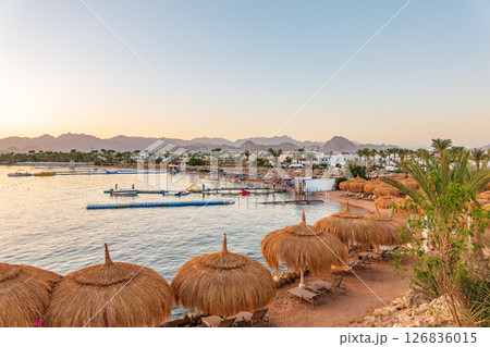 Straw umbrellas on empty beach. Beautiful empty beach with sun umbrellas and sunbeds Straw umbrellas on empty beach. Beautiful empty beach with sun umbrellas and sunbeds 126836015