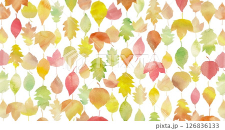 カラフルな可愛い秋の落ち葉をたくさん並べたイラスト。水彩画を使用。 126836133