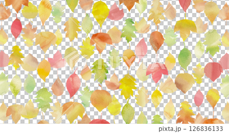 カラフルな可愛い秋の落ち葉をたくさん並べたイラスト。水彩画を使用。 126836133