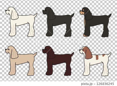 Multi-color illustration of a cute American Cocker from the side 126836245