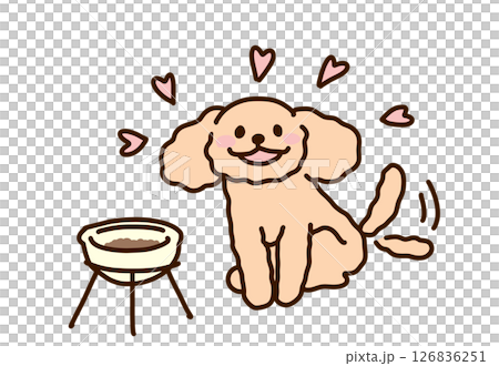 一隻貴賓犬在等待進食時搖著尾巴微笑 126836251