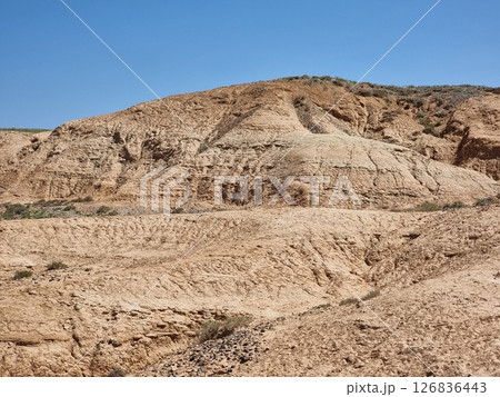 Beautiful Landscape Of The Desert Beautiful Landscape Of The Desert 126836443