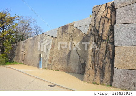 大坂城、桜門枡形の巨石/大阪城公園/日本のさくら名所百選/平成百景/日本100名城/国指定特別史跡 126836917