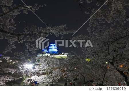 姫路城と夜桜(三の丸広場より)/姫路城十景/世界文化遺産/国宝/日本のさくら名所百選 姫路城と夜桜(三の丸広場より)/姫路城十景/世界文化遺産/国宝/日本のさくら名所百選 126836919