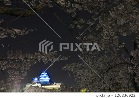 姫路城と夜桜（三の丸広場より）/姫路城十景/世界文化遺産/国宝/日本のさくら名所百選 126836922