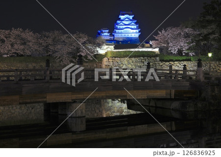 姫路城と夜桜（大手門付近より）/姫路城十景/世界文化遺産/国宝/日本のさくら名所百選 126836925