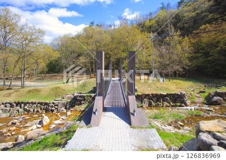 マキノ高原(新緑の季節）/琵琶湖国定公園 126836969