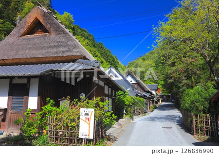 京都・嵯峨鳥居本の町並みと一之鳥居(新緑の季節)/重要伝統的建造物群保存地区 京都・嵯峨鳥居本の町並みと一之鳥居(新緑の季節)/重要伝統的建造物群保存地区 126836990