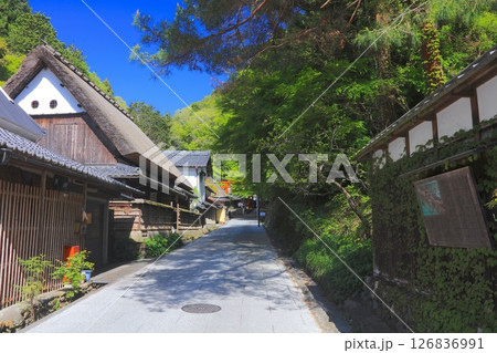 京都・嵯峨鳥居本の町並みと一之鳥居(新緑の季節)/重要伝統的建造物群保存地区 京都・嵯峨鳥居本の町並みと一之鳥居(新緑の季節)/重要伝統的建造物群保存地区 126836991
