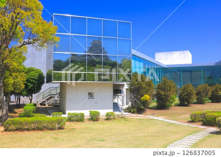 姫路城十景の一つ、シロトピア記念公園にある姫路市立歴史博物館のガラス面に映り込む姫路城 姫路城十景の一つ、シロトピア記念公園にある姫路市立歴史博物館のガラス面に映り込む姫路城 126837005