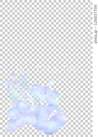 Hibiscus background (light) (postcard) d-3 126837700