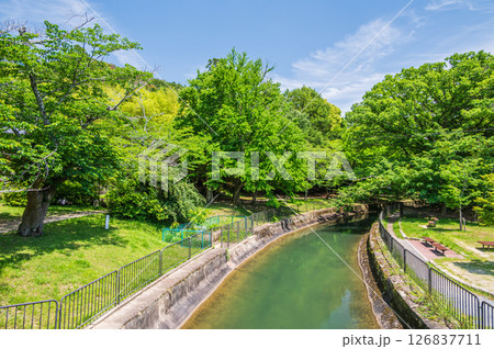 琵琶湖疏水 京都市 琵琶湖疏水 京都市 126837711
