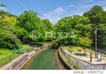 琵琶湖疏水　京都市 126837712