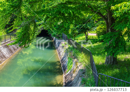 琵琶湖疏水　第ニトンネル出口　京都市 126837713