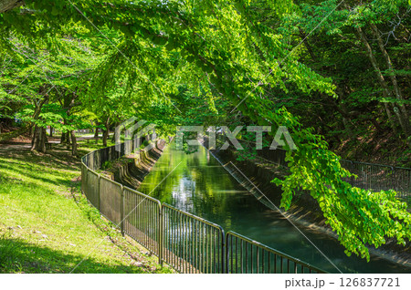 琵琶湖疏水　京都市 126837721