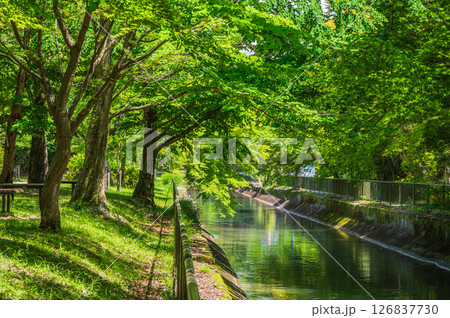 琵琶湖疏水 京都市 琵琶湖疏水 京都市 126837730