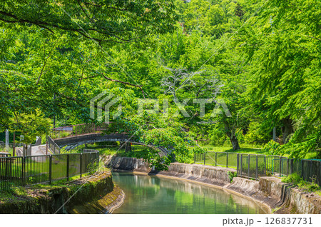 琵琶湖疏水　京都市 126837731