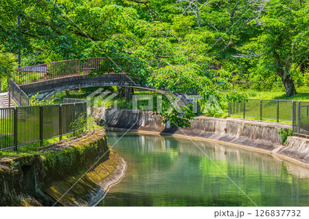 琵琶湖疏水　山ノ谷橋　京都市 126837732