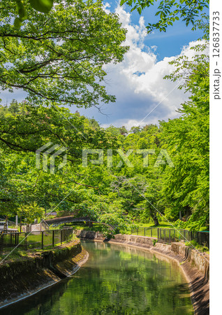 琵琶湖疏水　京都市 126837733