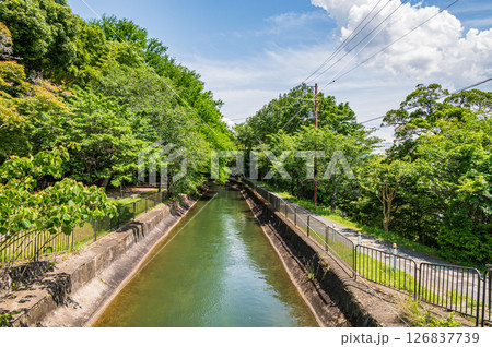 琵琶湖疏水　京都市 126837739