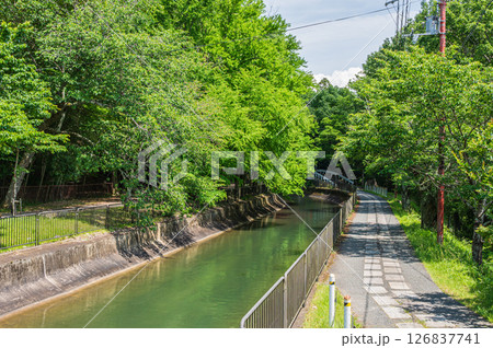 琵琶湖疏水 京都市 琵琶湖疏水 京都市 126837741